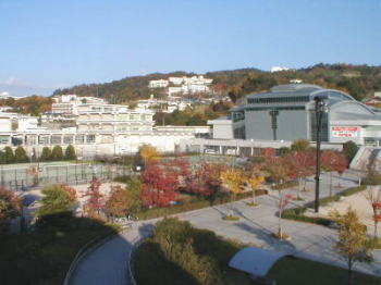 �V���c�����S�̎ʐ^