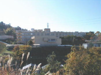 比治山大学