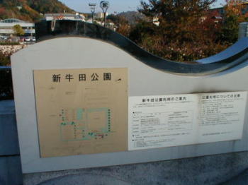 �V���c����