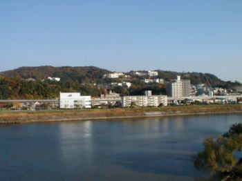 牛田山と太田川